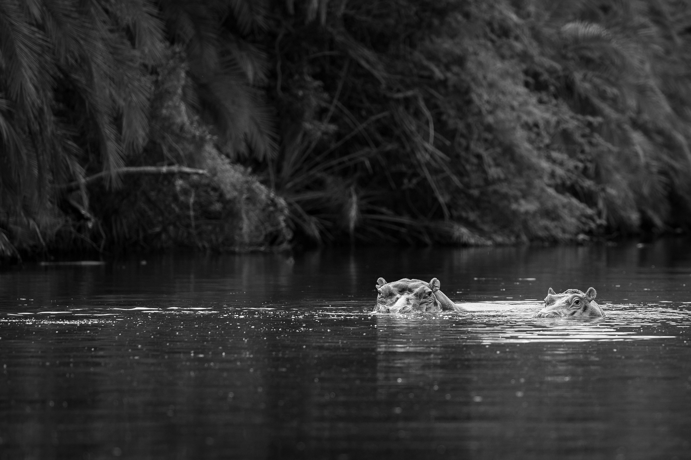 Zululand Lodge thumbnail 3